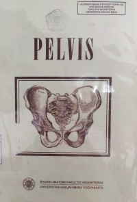 Pelvis