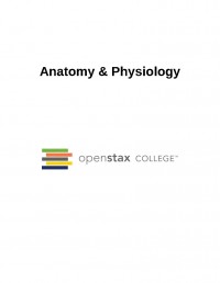 Anatomy & Physiology