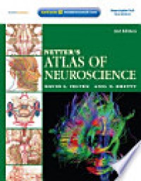 Netter's Atlas of Neuroscience
