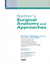 Netter’s Surgical Anatomy and Approaches