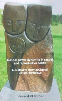 Gender Power Dynamic in Sexual and Reproductive Health  a Qualitative Study in Chiredzi District Zimbabwe